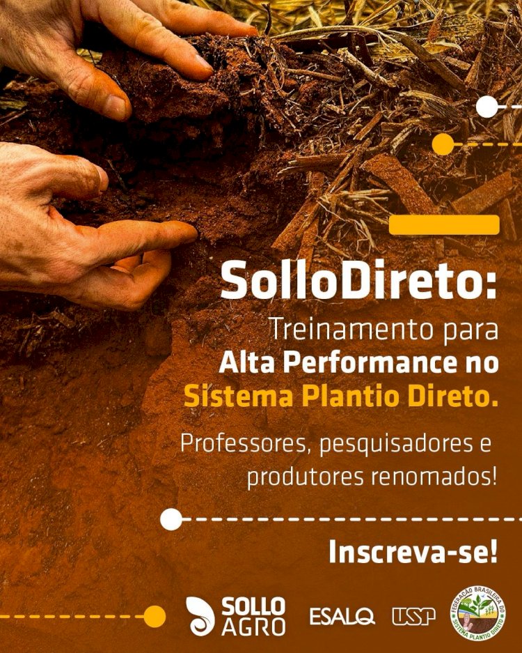 public/images/20250126_plantiodireto_banner.jpeg