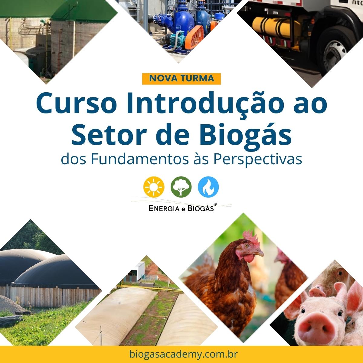 🔥Introdução ao Setor de Biogás: dos fundamentos às perspectivas