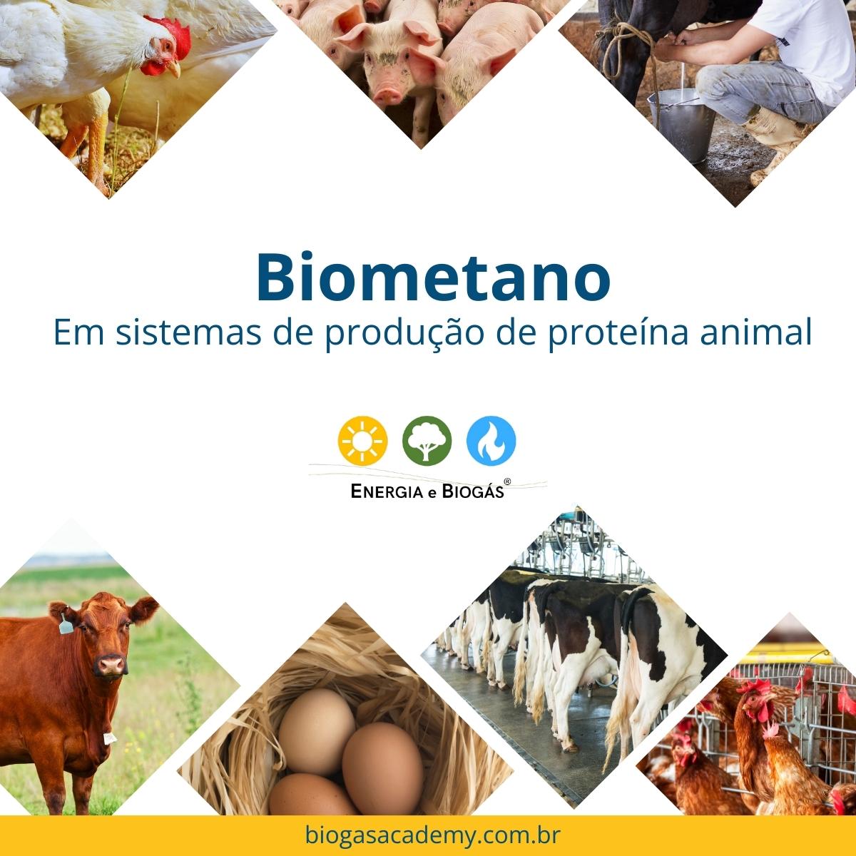 🐖 Biometano em sistemas de produção de proteína animal