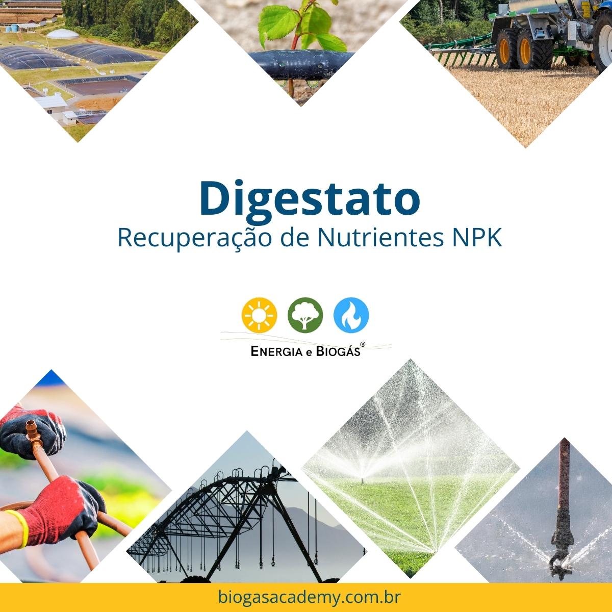 🌿 Digestato: recuperação de nutrientes NPK